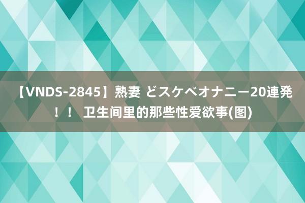 【VNDS-2845】熟妻 どスケベオナニー20連発！！ 卫生间里的那些性爱欲事(图)