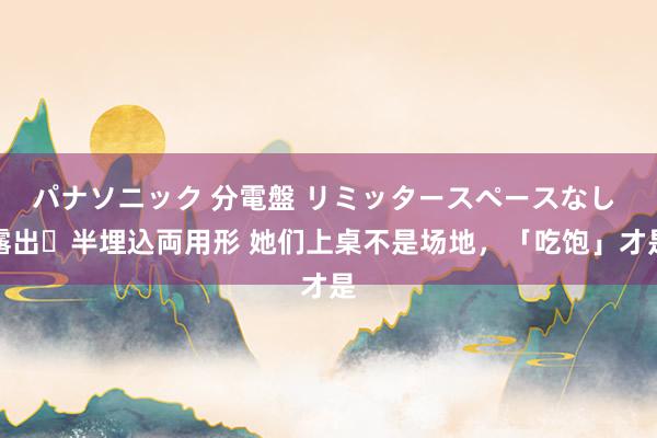 パナソニック 分電盤 リミッタースペースなし 露出・半埋込両用形 她们上桌不是场地，「吃饱」才是