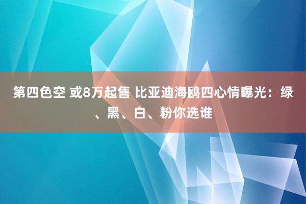 第四色空 或8万起售 比亚迪海鸥四心情曝光：绿、黑、白、粉你选谁