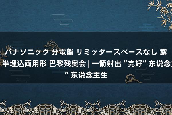 パナソニック 分電盤 リミッタースペースなし 露出・半埋込両用形 巴黎残奥会 | 一箭射出“完好”东说念主生