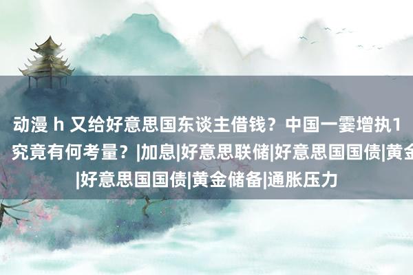 动漫 h 又给好意思国东谈主借钱？中国一霎增执124亿好意思债，究竟有何考量？|加息|好意思联储|好意思国国债|黄金储备|通胀压力