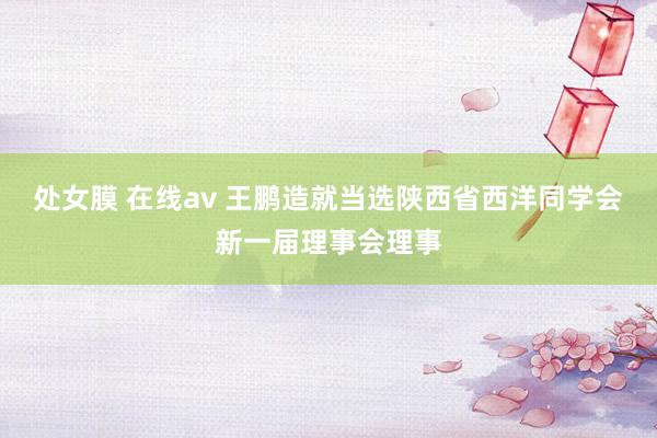 处女膜 在线av 王鹏造就当选陕西省西洋同学会新一届理事会理事