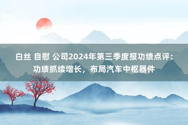 白丝 自慰 公司2024年第三季度报功绩点评：功绩抓续增长，布局汽车中枢器件